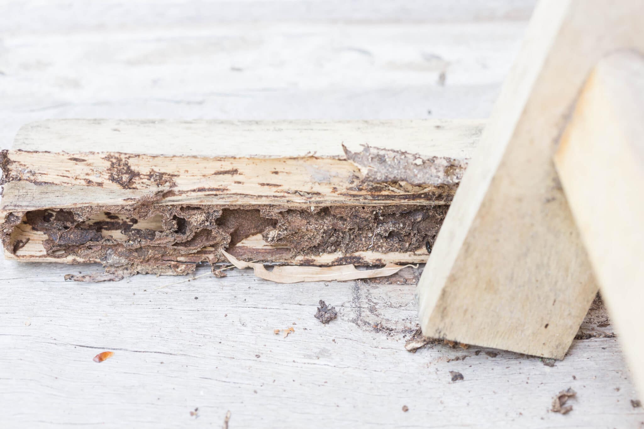 Termite Damage Repair St Tammany Parish