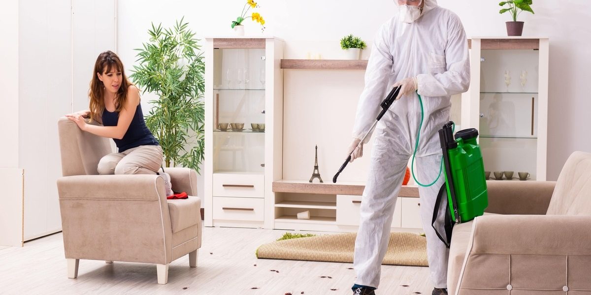 https://morganhillpest.com/